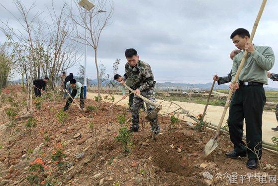 我市組織退役軍人開(kāi)展“穿上軍裝保家衛(wèi)國(guó) 脫下軍裝建設(shè)家鄉(xiāng)”植樹活動(dòng)