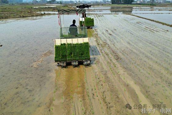 農(nóng)機(jī)給力,！春耕省力,！桂平市2025年“萬臺(tái)農(nóng)機(jī)鬧春耕”活動(dòng)啟動(dòng)
