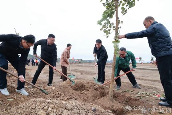 桂平市開展2025年黨政軍民企義務(wù)植樹活動(dòng)
