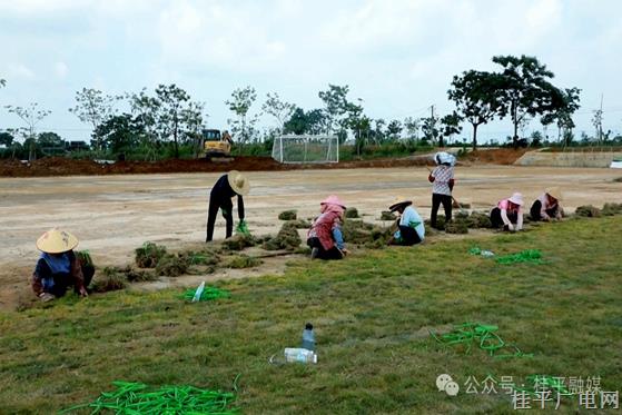 場地升級 踢球更穩(wěn),！石龍鎮(zhèn)新村村稻香足球場加速建設(shè)中